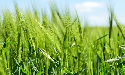 2022壬寅虎年七月二十四日子好不好？剪头发好吗？