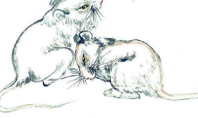 十二生属与不一样血形的性情：肖鼠