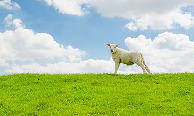 2022年己卯日是哪一天？己卯日出生的命运好不好？