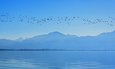 癸酉日柱为什么是下等日柱？下等日柱有哪些？