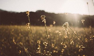 2022年农历七月十三当天的日子如何？适合理发吗？