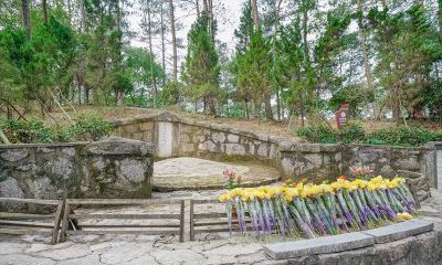 2022寅虎年农历五月二十二日祭祀祭祖适不适合？