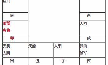 紫微斗数实例教程：紫微星贪狼在卯坐命宫 紫微星贪狼在卯入命