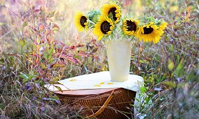 农历二月有没有三十？农历二月又叫什么月？