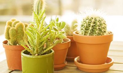 2022年农历二月份好日子有几天？是哪几天？