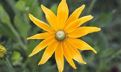 2022壬寅虎年七月初一老黄历日子好吗？适合理发吗？