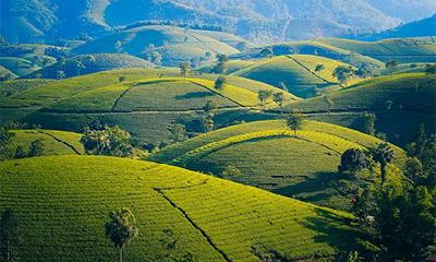 2022年农历四月有30天吗？农历四月生的人命运如何？