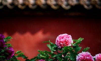 四书五经起名大全：10个一见倾心的宝宝名，福泽深厚