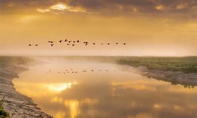 2022年壬寅虎年农历七月十九日祭祀祭祖好不好？