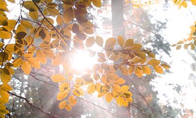 2022年农历八月二十是黄道吉日吗？有什么宜忌？