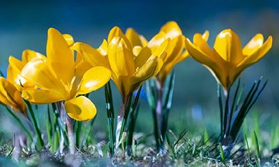 2022年农历二月二十六日子好吗？求婚怎么样？