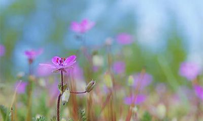 2022年农历二月二十一日求婚日子合适吗？