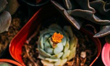 2023七月半烧纸能不能烧两次 2023中元节烧纸只能提前不能延后吗