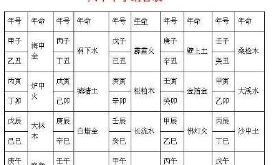 八字一起学5-地支藏干、六十花甲子