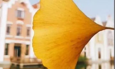 八字伤官星旺，才华横溢的人