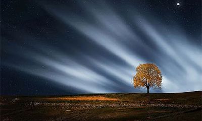 2022年农历七月十七日子好吗？是吉日吗？