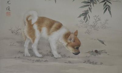 属狗的哪些时间出生最好是？