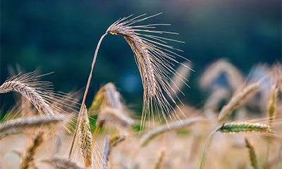 2022壬寅年农历七月初三是不是吉利日子？