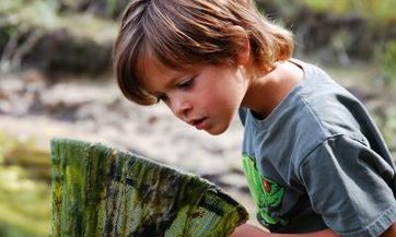 带子字的男孩起名事项及名字