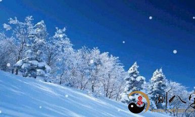 梦见天空飘小雪花