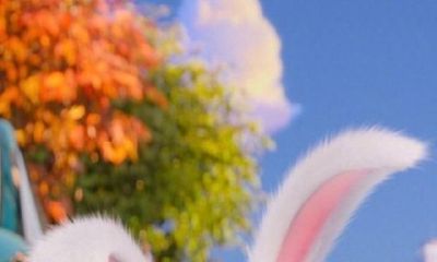 假如你身旁有一个属兔的人请爱惜