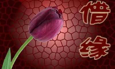 晚婚晚育命，担忧不可以结婚的属相