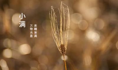 不同年份小满节气出生的属蛇人命运如何？