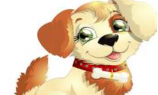 有关属相狗的爱情配对那点事情