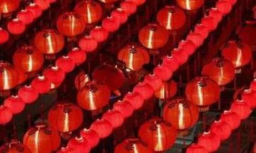 属猪的什么颜色最旺最吉利 属猪终身幸运色