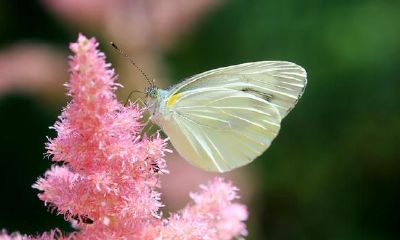 处女座2022年运程详细说明，处女座2022年全年度运程完整篇