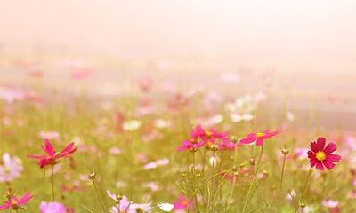 2022虎年二月初一日子好吗？求婚合不合适？