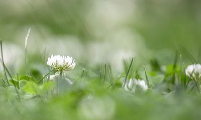 2022年虎年四月十五日这天黄历宜祈福吗？