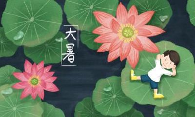 大暑节气花信是什么?有什么花