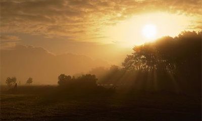 2022年壬寅虎年四月初八可不可以上香祈福？