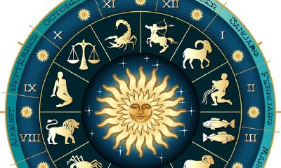 一篇文章使你弄懂，什么叫星盘分析内的12宫位？