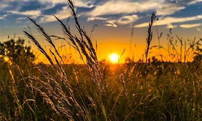 2022年虎年四月十三日适不适合出殡？日子好吗？