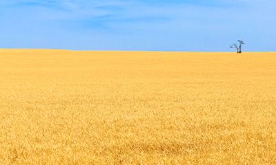 2022年农历八月初二是不是吉日？黄历有什么宜忌？