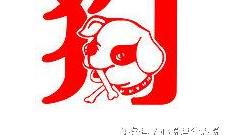 生日决策运势，属狗人生道路月不一样，运程也各不相同