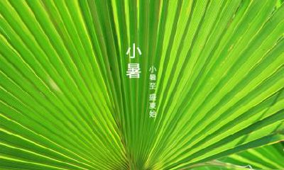 在小暑节气这天出生的属羊人是不是好命？命运如何？