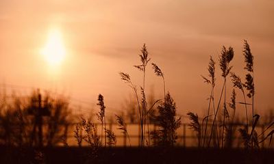 2022虎年农历四月二十五日出殡吉不吉利？