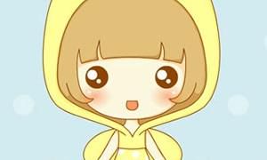 属相鸡的全面解析