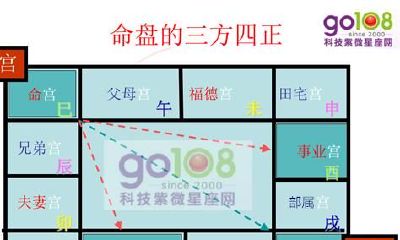 紫微斗数专有名词详细介绍