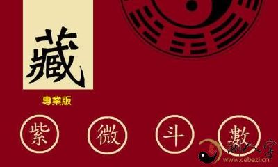 紫微斗数看一个人的长相，看看你是什么什么星？