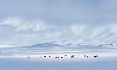 壬寅虎2022年小雪节气搬家可以吗？搬家要准备什么吉利？