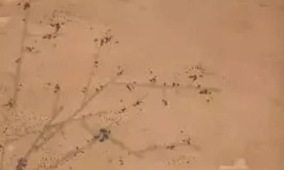 这个八字不简单，一生只爱一个人！