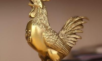 最全！属鸡人，在明年的事业运，财运以及爱情运？