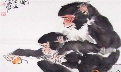 属猴人一生运势解析：人生最后的赢家，后半生福气满满！