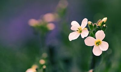 2022年虎年农历二月二十七日适不适合出殡？日子好吗？