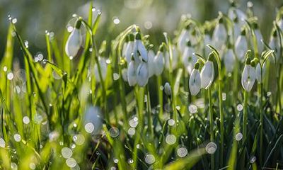 2022年农历二月二十六是能出殡行丧的好日子吗？