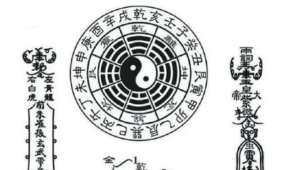 食伤泄比劫的义象